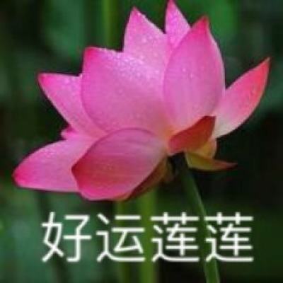 施小琳任四川代理省长，她要求“经济大省要挑大梁”